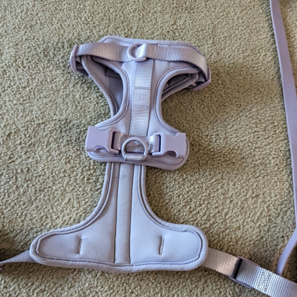 Wild One Leash Set - Picture 2 of 3